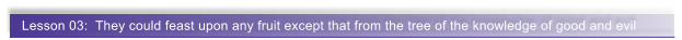 Lesson 03:  They could feast upon any fruit except that from the tree of the knowledge of good and evil